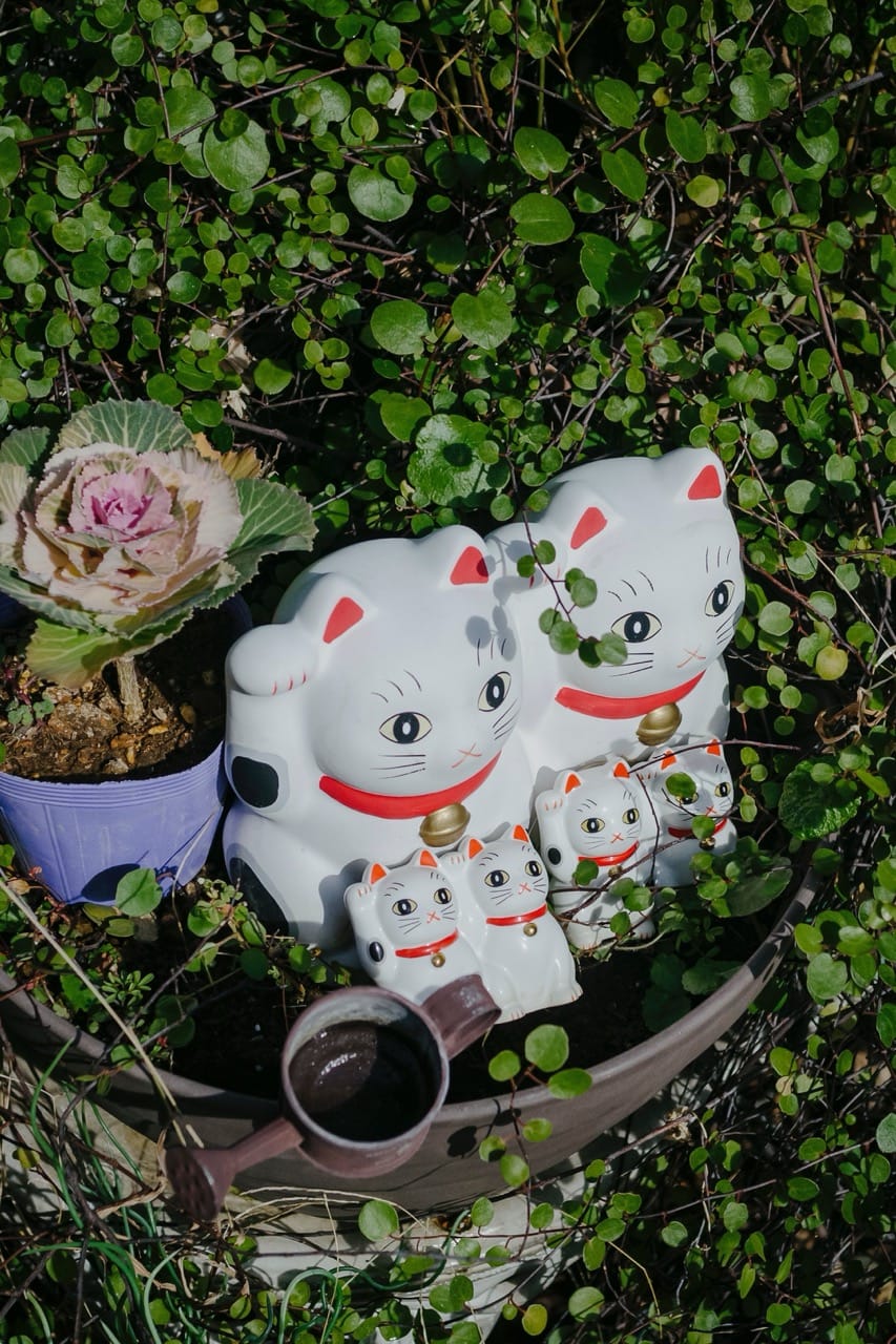 Превью Tokyo 2024